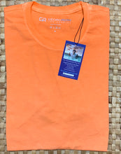 Load image into Gallery viewer, Luxe Pima Crew orange, coffee, mint
