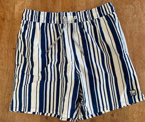 mens swim stripes navy